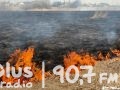 Policjanci z Jedlińska zatrzymali 38-latka podejrzanego o podpalenie łąki