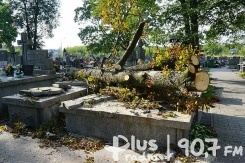 Duże straty na cmentarzu