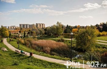 Masz pomysł na zagospodarowanie parku na Gołębiowie II? Napisz do Urzędu Miasta!