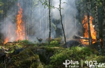 Zagrożenie pożarowe w lasach nawet jesienią