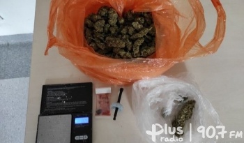 Skarżyska policja znalazła 200 gramów marihuany