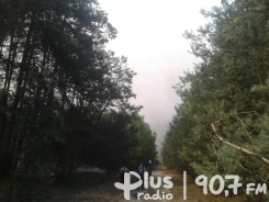 Ogromny pożar lasów w gminie Odrzywół