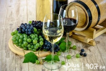 Coraz większe zainteresowanie produkcją wina w Polsce