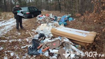 Miliony złotych idą na wywóz śmieci z lasów