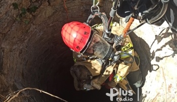 Opoczyńscy strażacy wyciągali psy ze studni
