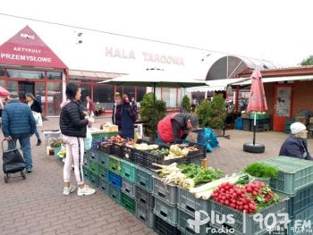 Niskie ceny warzyw na radomskich targowiskach