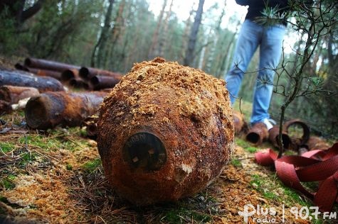 Granaty i pociski rakietowe w lesie