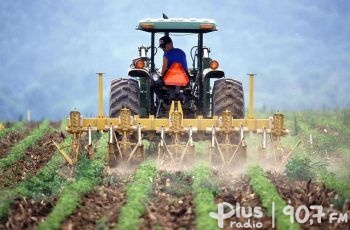 Dopłaty 2020: milion rolniczych wniosków złożono w ARiMR