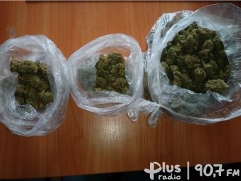 Policjanci zabezpieczyli 144 gramy marihuany
