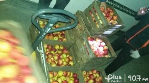30 ton jabłek dla mieszkańców