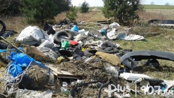Plaga dzikich wysypisk śmieci