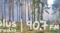 Między Odrzywołem a Pilicą spłonęło 80 ha lasu
