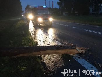 W powiatach koneckim i opoczyńskim po kilka interwencji straży