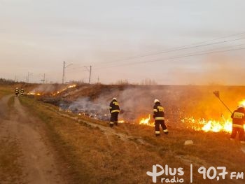 Wiosenna rutyna strażaków - pożary traw wciąż groźne