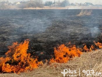 Płonęły trawy w Radomiu i regionie