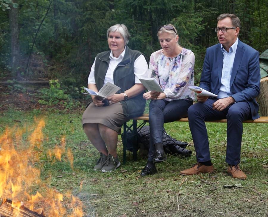 Nauka historii poszła w las