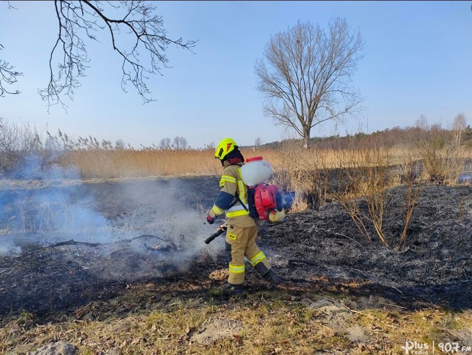 Krok od tragedii w czasie pożaru traw