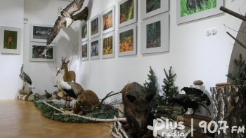 Przyroda Kozienickiego Parku Krajobrazowego zawitała do muzeum