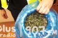 Lipsko: Zatrzymali prawie pół kilogramów marihuany