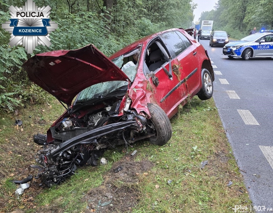 Auto zderzyło się z łosiem