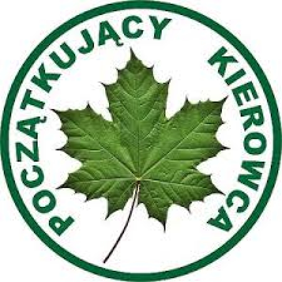 Początkujący kierowcy na drogach
