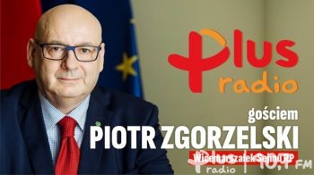 Piotr Zgorzelski Wicemarszałek Sejmu RP gościem #SednoSprawy