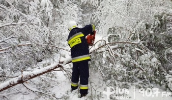 Świętokrzyscy strażacy mieli pracowity początek kwietnia