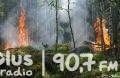 Susza trwa, podpalacze grasują – plaga pożarów lasów i traw