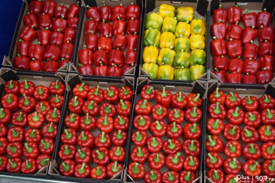 Straty plantatorów papryki?