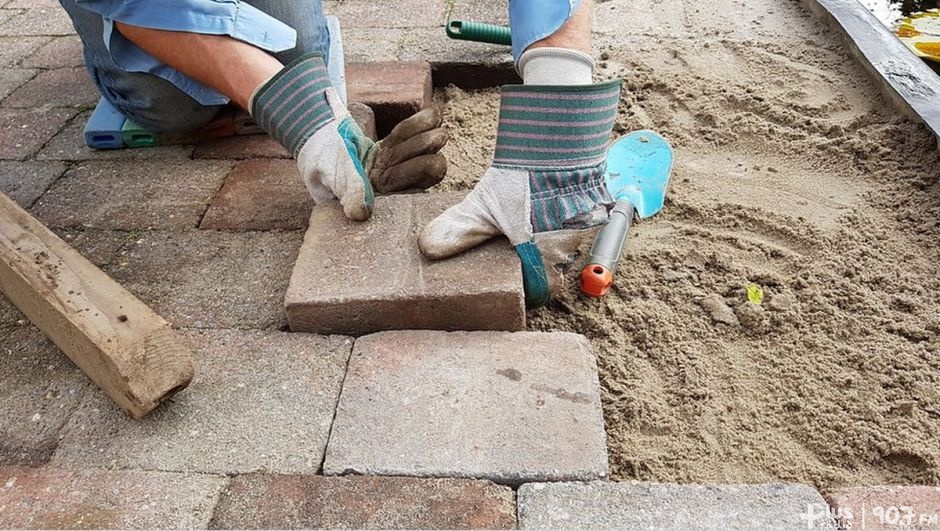 Jesień z pracą sezonową. Obcokrajowcy na rynku pracy