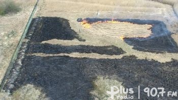 Podpalacz traw przyłapany na gorącym uczynku. Pomógł dron policyjny