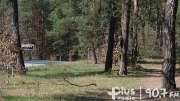 Rowerem przez las – w Puszczy Kozienickiej powstaną nowe szlaki