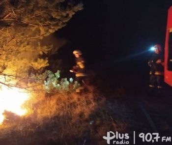 Pierwszy pożar lasu w gminie Odrzywół w tym roku