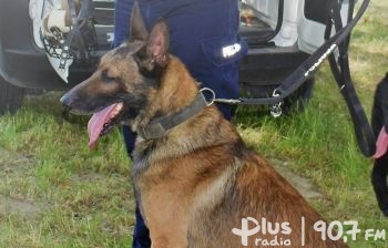 Pies policyjny odnalazł zaginioną seniorkę