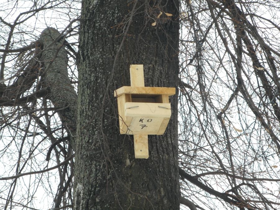 Nowe budki dla ptak&oacute;w w radomskich parkach
