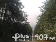 Ogromny pożar lasów w gminie Odrzywół