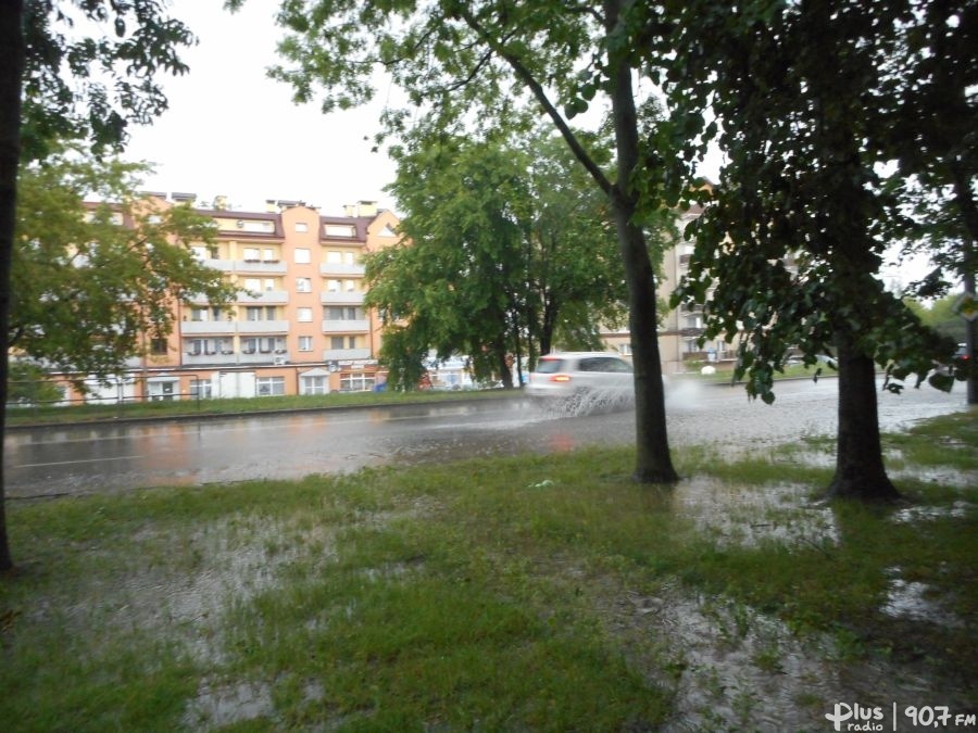 Skutki zmian klimatu. Konkurs dla uczniów