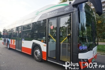 Korekta rozkładu jazdy autobusów linii 7