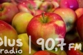 Skandalicznie niskie ceny jabłek do przetwórstwa