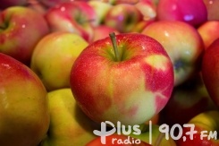 Skandalicznie niskie ceny jabłek do przetwórstwa