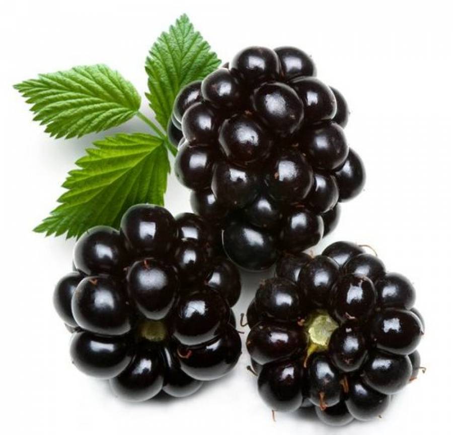 foto: www.bioflawonoidy.com.pl