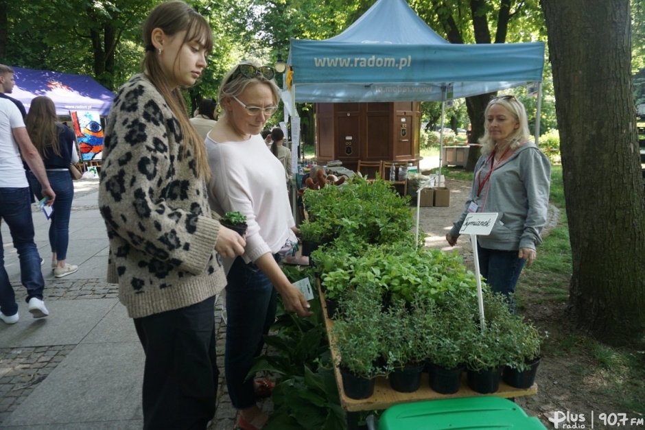 Odbędzie się piknik ekologiczny