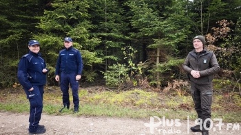 Częstsze patrole w lasach