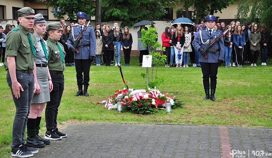 Dąb Pamięci w Opocznie