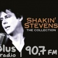 SHAKIN STEVENS