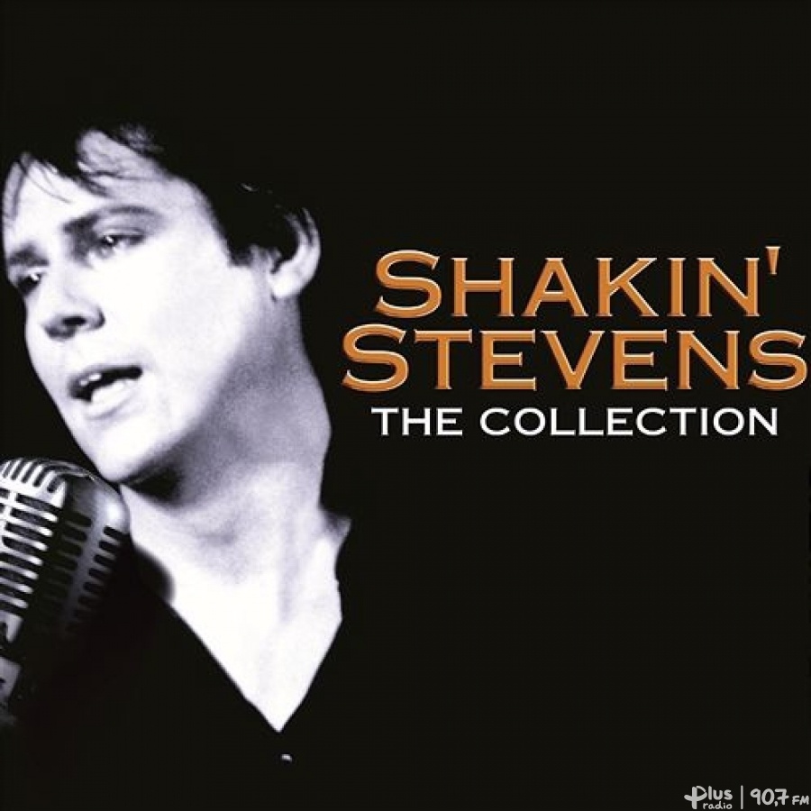 SHAKIN STEVENS