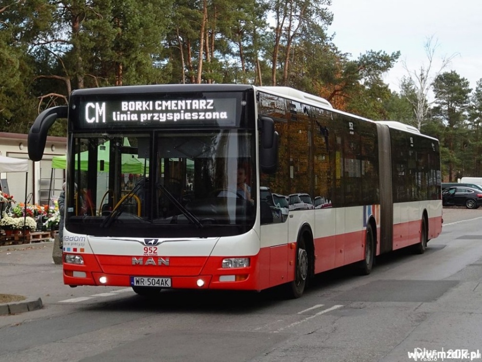 Wszystkich Świętych – zmiana organizacji ruchu i bezpłatna komunikacja