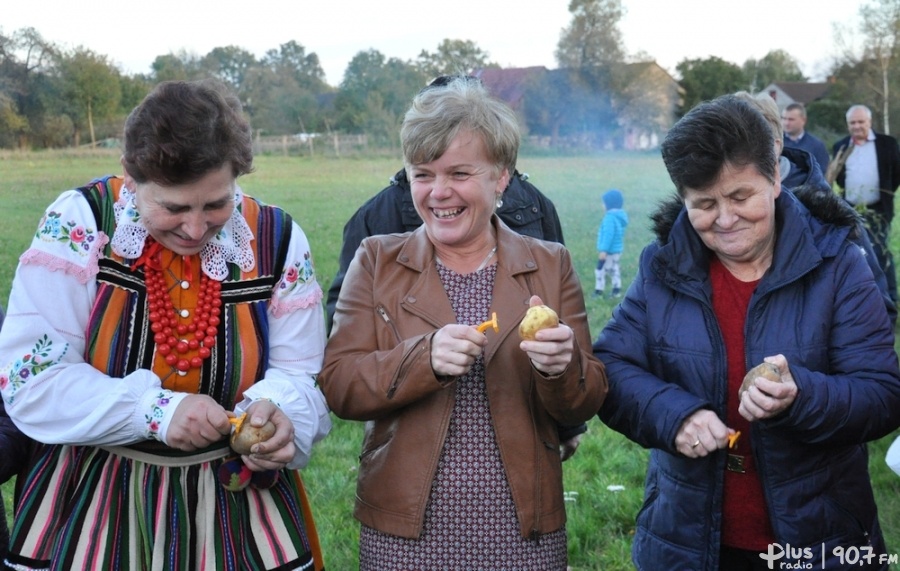 Ziemniak w roli głównej