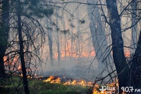 Pożary niszczą lasy. Rozwagi!