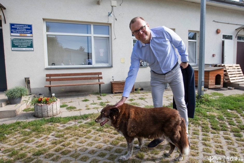 Schronisko dla bezdomnych zwierząt zostanie zmodernizowane